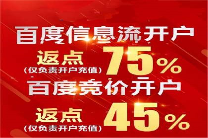 百度竞价推广的ROI优化策略：一则案例分析
